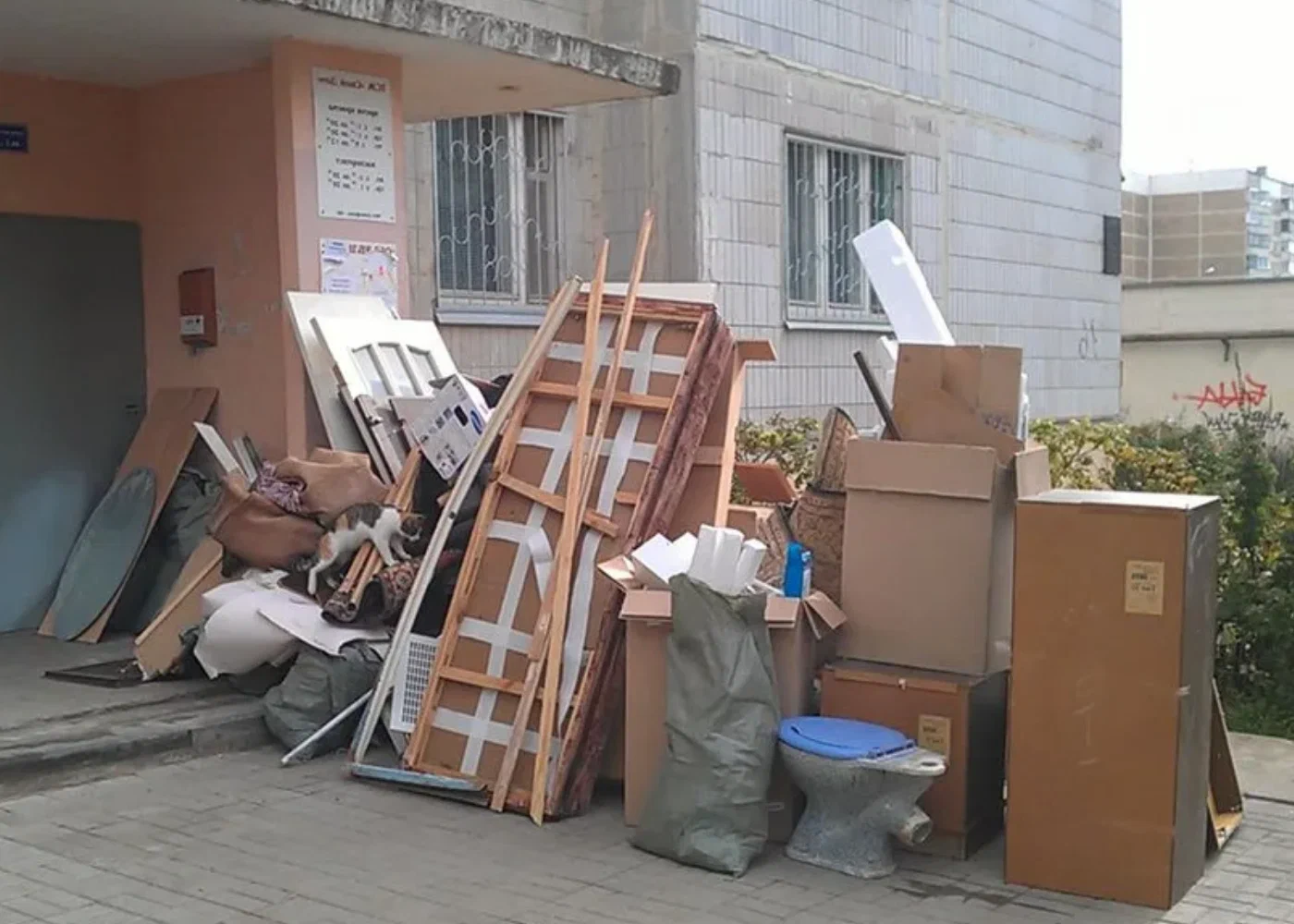 Профессиональный вывоз мусора из квартиры в Перми в октябре