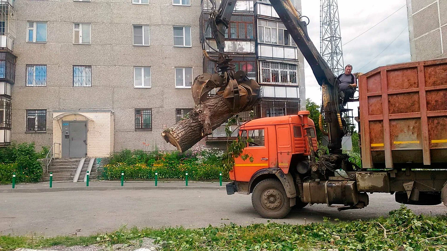 Вывоз спиленных веток и деревьев в Перми от ПроМусор: порубочные остатки, утилизация, цена от 3106 руб