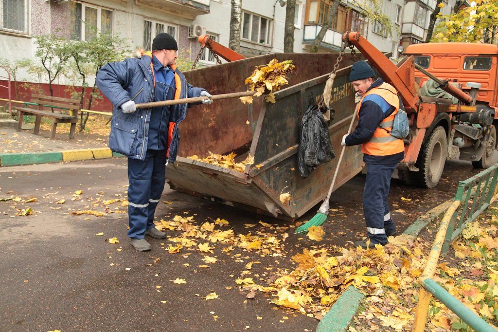 Вывоз опавшей листвы и растительного мусора в Перми от ПроМусор – цена от 4820 руб., быстрая уборка и утилизация